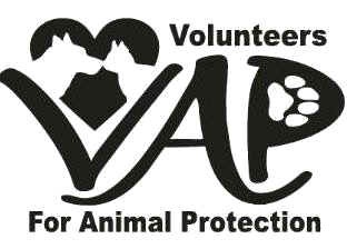 Volunteers for Animal Protection (VAP) is a no-kill animal rescue  organization